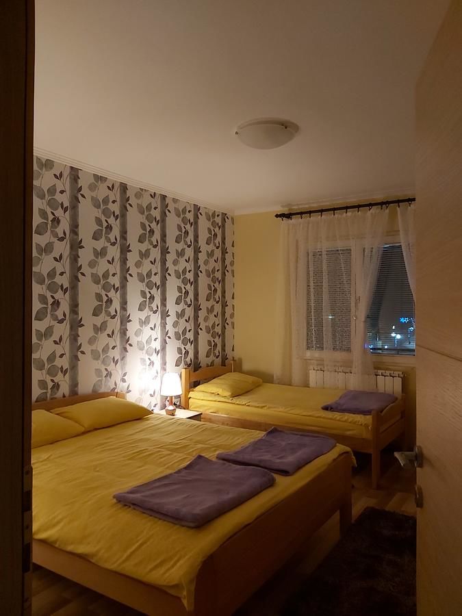 Апартаменты Apartment Zabljak Center Жабляк