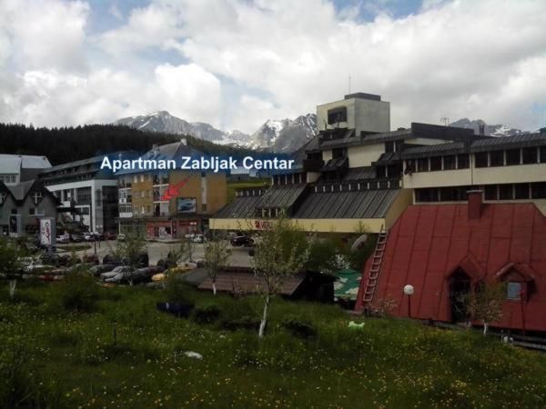 Апартаменты Apartment Zabljak Center Жабляк