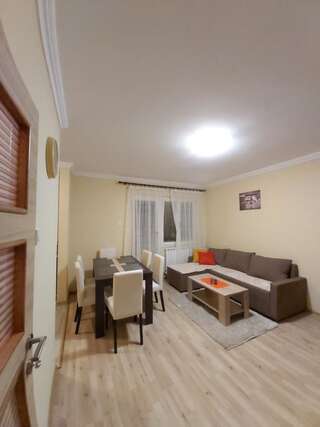 Апартаменты Apartment Zabljak Center Жабляк Апартаменты с видом на горы-10