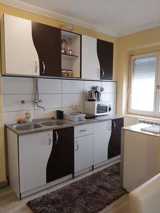 Апартаменты Apartment Zabljak Center Жабляк Апартаменты с видом на горы-12