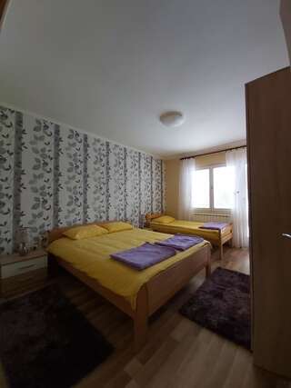 Апартаменты Apartment Zabljak Center Жабляк Апартаменты с видом на горы-26