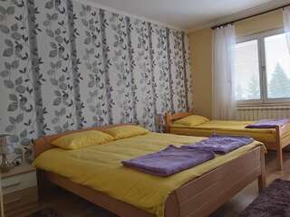 Апартаменты Apartment Zabljak Center Жабляк Апартаменты с видом на горы-30