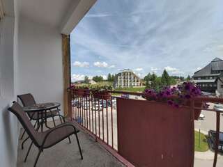 Апартаменты Apartment Zabljak Center Жабляк Апартаменты с видом на горы-43