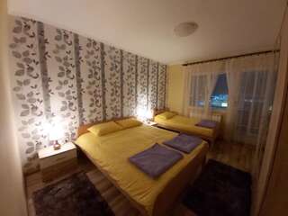 Апартаменты Apartment Zabljak Center Жабляк Апартаменты с видом на горы-60