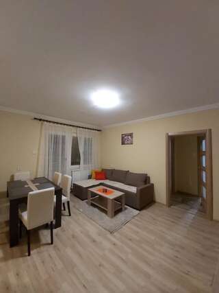 Апартаменты Apartment Zabljak Center Жабляк Апартаменты с видом на горы-8